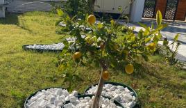 Квартира за 59 777 евро в Мерсине, Турция