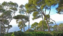 Вилла в Сен-Жан-Кап-Ферра, Франция (цена по запросу)