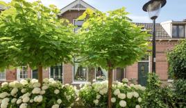 Дом за 425 000 евро в Зандаме, Нидерланды