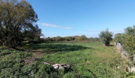 Земля за 550 000 евро на Корфу, Греция