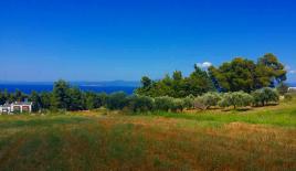 Земля за 330 000 евро на Кассандре, Греция