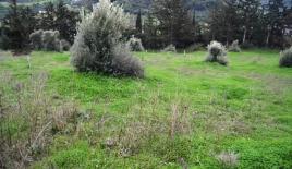 Земля за 280 000 евро в Ираклионе, Греция