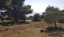 Земля за 540 000 евро в Ситонии, Греция