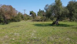 Земля за 220 000 евро на Кассандре, Греция