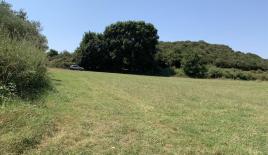 Земля за 270 000 евро на Халкидиках, Греция