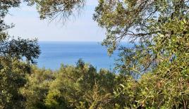 Земля за 230 000 евро на Корфу, Греция