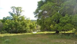 Земля за 900 000 евро на Корфу, Греция