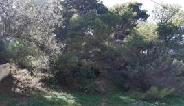 Земля за 550 000 евро в Аттике, Греция