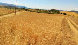 Земля за 200 000 евро на Халкидиках, Греция