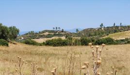 Земля за 300 000 евро на Кассандре, Греция