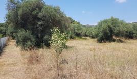 Земля за 1 700 000 евро на Кассандре, Греция