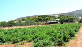 Земля за 820 000 евро в Аттике, Греция