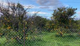 Земля за 235 000 евро в Ираклионе, Греция