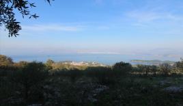 Земля за 810 000 евро на Корфу, Греция