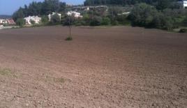 Земля за 200 000 евро на Кассандре, Греция