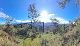 Земля за 530 000 евро на Корфу, Греция