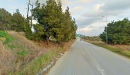 Земля за 150 000 евро на Кассандре, Греция