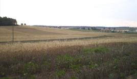 Земля за 160 000 евро на Кассандре, Греция