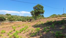 Земля за 350 000 евро на Корфу, Греция