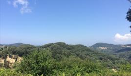 Земля за 195 000 евро на Корфу, Греция