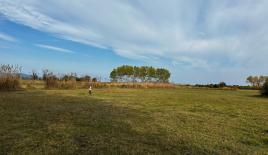 Земля за 250 000 евро на Халкидиках, Греция