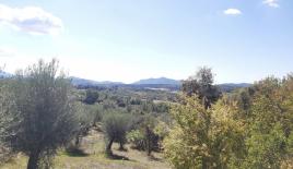 Земля за 480 000 евро на Корфу, Греция