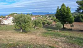 Земля за 600 000 евро на Кассандре, Греция