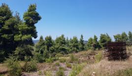 Земля за 320 000 евро на Кассандре, Греция