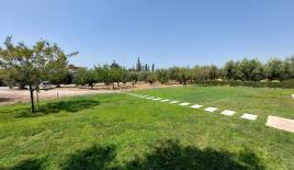 Земля за 2 300 000 евро в Ситонии, Греция