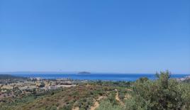 Земля за 150 000 евро в Ситонии, Греция