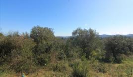 Земля за 180 000 евро на Корфу, Греция