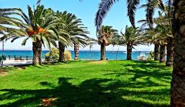 Земля за 450 000 евро в Аттике, Греция