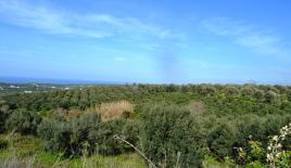 Земля за 330 000 евро в Ираклионе, Греция