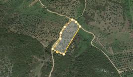 Земля за 180 000 евро в Ситонии, Греция