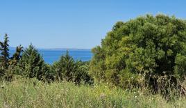 Земля за 250 000 евро в Ситонии, Греция