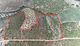 Земля за 370 000 евро в Ситонии, Греция