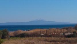 Земля за 300 000 евро на Халкидиках, Греция