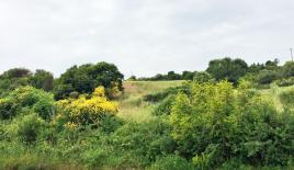 Земля за 200 000 евро на Халкидиках, Греция