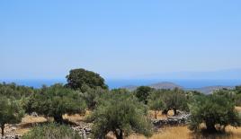 Земля за 320 000 евро в Ираклионе, Греция