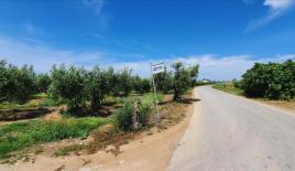 Земля за 165 000 евро на Халкидиках, Греция