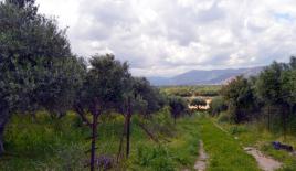 Земля за 765 000 евро в Ираклионе, Греция