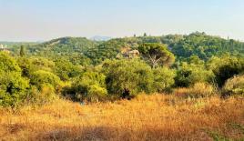 Земля за 315 000 евро на Корфу, Греция