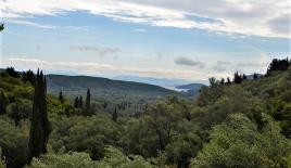 Земля за 250 000 евро на Корфу, Греция