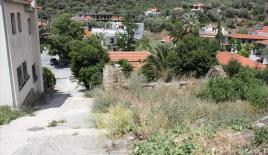 Земля за 155 000 евро на Халкидиках, Греция