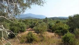 Земля за 400 000 евро на Корфу, Греция