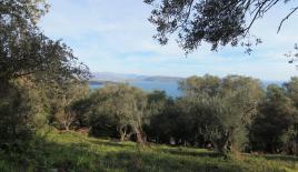 Земля за 190 000 евро на Корфу, Греция