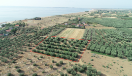 Земля за 160 000 евро на Халкидиках, Греция