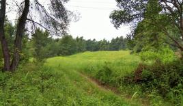 Земля за 800 000 евро на Кассандре, Греция