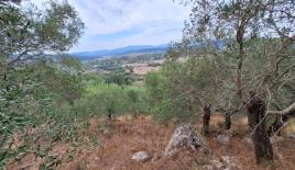 Земля за 399 000 евро на Корфу, Греция