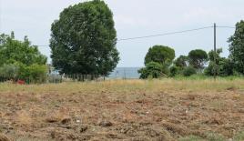 Земля за 215 000 евро в Олимпиаки-Акти, Греция